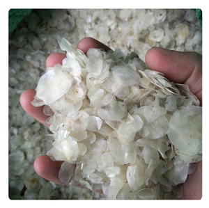 Écailles de poisson du Vietnam, fournisseur de matières premières de haute qualité pour l'industrie - Product Image 1