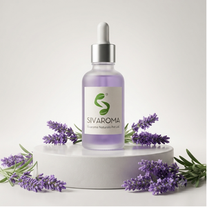 Huile essentielle de lavande de haute qualité en vrac, huile botanique de qualité professionnelle pour les formulations cosmétiques, la fabrication de parfums - Product Image 5