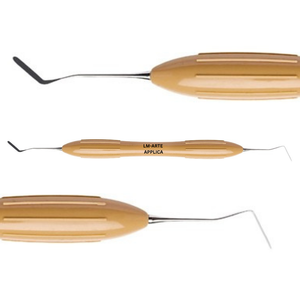 10 Pcs Dental Composite Restorative Instrument Set Silicone Handle Double Ended Filling Tools Professional Restoration <b>Kit</b> - Product Image 4
