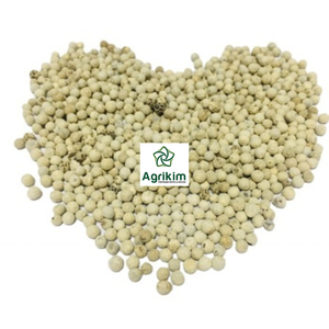 Poivre blanc vietnamien MC, nettoyé à la machine, qualité d'exportation, épice de qualité supérieure - Product Image 2