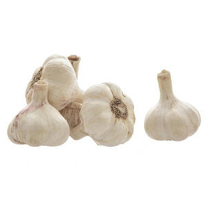 Proveedor de Ajo Fresco para Exportación, Bulbos de Ajo de Primera Calidad Cosechados en Granja, Suministro a Granel para Compradores Internacionales - Product Image 6
