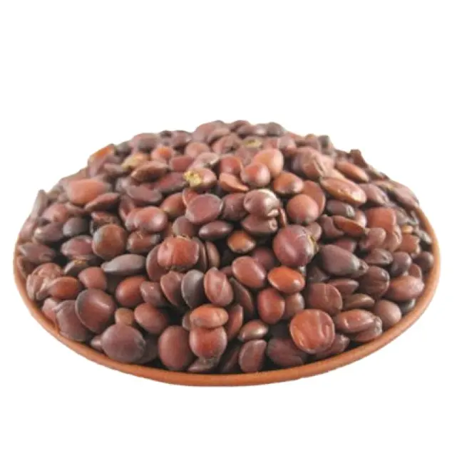 Suan zao ren 100% semente de tâmaras com frutas secas naturais, pedra seca, espina para chá de ervas