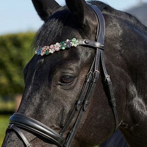 Diadema de Lujo para Caballo con Cristales en Forma de U, Multicolor, Accesorios para Brida de Doma, Artículos Ecuestres - Product Image 4