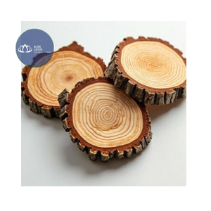 MÁS VENDIDO: Posavasos de Madera Ecológica Natural Glory con Asa, Forma Pulida Fina para Decoración de Mesa - Product Image 1
