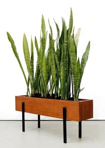 Wooden <b>planter</b> <b>box</b>, modern plant stand, indoor plant holder, wooden flower pot, succulent <b>planter</b> <b>box</b>, decorative <b>planter</b> stand, - Product Image 4