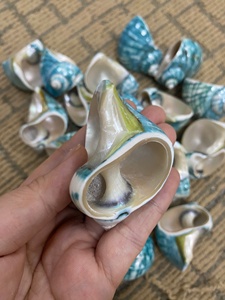 Porte-anneaux de serviette Vietnam Big White Turbo SHELL pour décorations de mariage et cadeau de plage d'été Souvenir de fête - Product Image 2