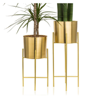 Support de plante sur pied rond et grand, en métal chromé doré, écologique et durable, pour l'intérieur et l'extérieur, pour jardin et pot de fleurs