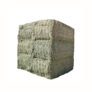 Alfafa Hay Animal <b>Feeding</b> Stuff Alfalfa, hay/alfalfa hay <b>pellets</b> Timothy Hay/ Alfafa in Bales Best - Product Image 6