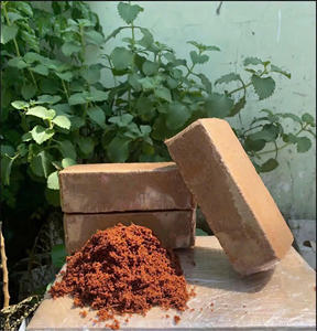 ¡Gran Oferta! Bloque de Turba de Coco Vietnamita Biodegradable y Ecológico, Ligero, para Cultivo de Plantas de Alta Calidad, Eco2go - Product Image 4