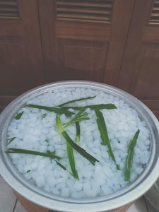 Nata de Coco en Almíbar Disponible al por Mayor - Topping de Gelatina de Coco Crujiente Blanca, Paquete a Granel de 1kg/5kg para Exportación - Product Image 3