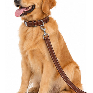 Collar Clásico Ajustable de Cuero Sólido para Mascotas con Correa a Juego, Hebilla Metálica, Anillo en D y Acabado Cosido - Product Image 5