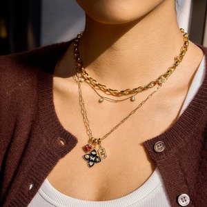 Collar con Colgante de Acero Inoxidable Chapado en Oro PVD de 18K, Regalo Romántico, Joyería de Moda - Product Image 4