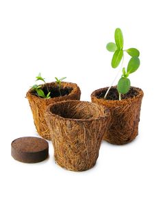 Maceta Biodegradable de Fibra de Coco para Plántulas, Ecológica y Respetuosa con el Medio Ambiente - Product Image 1