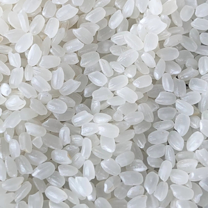 ARROZ PARA SUSHI CAMOLINO DE GRANO CORTO JAPONICA CALROSE CALIDAD UE 1kg 5kg 10kg 20kg Directo de la Planta de Molienda de Arroz VIETNAM LINDA - Product Image 1