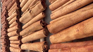 High Quality Yen Bai Broken Cassia Natural Aromatic Vietnam <b>Cinnamon</b> - Intense Spicy-<b>Sweet</b> Scent - Top Quality - Product Image 3