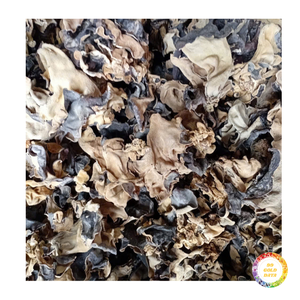 Hongo Oreja de Pana Seco para la Industria Alimentaria con Clasificación Limpia y Precios Competitivos - Product Image 3