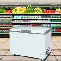 Évaporateur de porte moussante AC 220V50Hz Big Cold Storage Single ChestFreezer pour la congélation de viande de poisson et de poulet