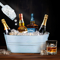 Seau à glace en métal galvanisé, refroidisseur de champagne et de cocktails, grand bac ovale pour refroidir la bière, idéal pour les fêtes à domicile et les fêtes au bord de la piscine