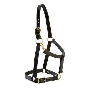 Simple Leather Halter <b>Black</b> Color Leather Halter Brass Hardware Leather Horse Halter Wholasaller & Manufacturer of Equestrian - Product Image 1