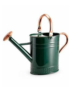 Bidón de agua metálico de primera calidad, diseñado para un uso diario duradero, tareas de jardinería, tareas domésticas, actividades al aire libre y almacenamiento. - Product Image 1