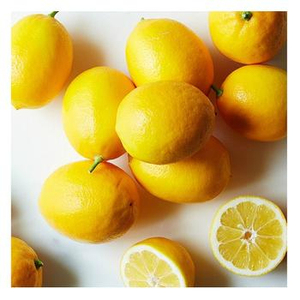 Vente en gros de citrons Eureka, qualité constante pour les marchés de détail et de services alimentaires - Product Image 3