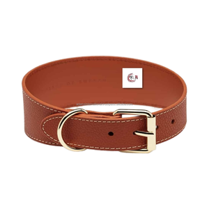 Conjunto de collar y correa para perro, accesorio que brilla en la oscuridad, con correa, fabricante al por mayor internacional - Product Image 1