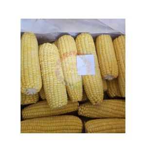 Maíz dulce congelado IQF premium con espiga, maíz dulce entero IQF, el mejor maíz para el desayuno en Vietnam - Product Image 1