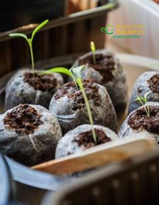 Coconut <b>Coir</b> Peat Pellets Growing Medium for Nursery Plants Seedlings Greenhouse and Horticulture Eco2go Vietnam - Product Image 6