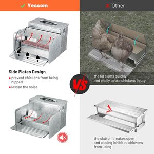 Mangiatoia per Animali, Mangiatoia per Polli - Product Image 2