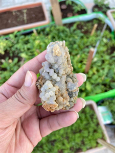 Natural Grape Agate <b>Crystal</b> | Purple Botryoidal Chalcedony Mineral Specimen | Collector Display Stone - Product Image 4