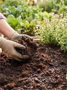 100% Natural Coconut <b>Coir</b> Peat <b>Block</b> 5kg Plant Growing Medium for Agriculture Greenhouse and Hydroponics From Viet Nam - Product Image 3