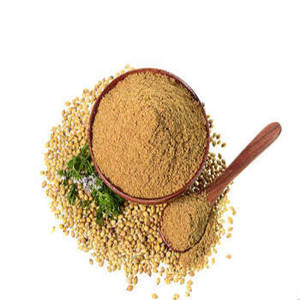 ผงผักชีอินเดียพรีเมียม ฤดูกาลใหม่ บริสุทธิ์ 100% ยี่ห้อ Fittree International เครื่องเทศบดละเอียด สำหรับร้านอาหารและผู้แปรรูปอาหาร 24 - Product Image 3
