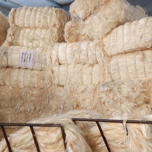 เส้นใยป่านศรนารายณ์เพื่อการเกษตรพรม - Product Image 1
