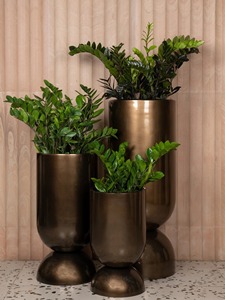 Premium Large Iron Eco-Friendly Powder Coated Outdoor Plant Containers & <b>Tree</b> <b>Planters</b> MTK Brand Wholesale Manufacturer - Product Image 5