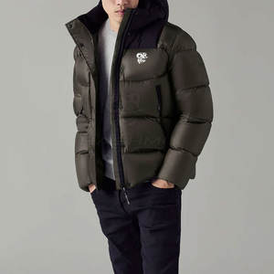 Veste d'hiver matelassée élégante pour homme, coupe décontractée, idéale pour un usage quotidien et les activités de plein air légères - Product Image 4