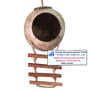 Abri pour oiseaux en coquille de noix de coco naturelle avec perchoir en bois, jouet écologique pour oiseaux fabriqué au Vietnam - Product Image 5