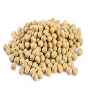 Soja jaune de qualité supérieure, non-OGM, de qualité alimentaire, fabriqué sur mesure, vente en gros, très demandé, excellent rapport qualité-prix - Product Image 6