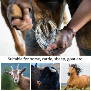 Brosse à sabots en acier inoxydable avec manche, outils de toilettage pour chevaux, nettoyage, anti-rouille, pratique pour sabots de cheval - Product Image 5