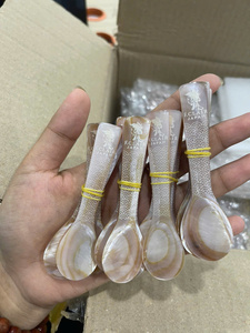 Eco Friendly Natural <b>Abalone</b> <b>Shell</b> Spoon Luxury Dessert Ice Cream Utensils Bulk Wholesale Manufacturer Vietnam - Product Image 1