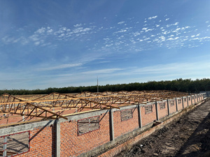 Eratek EC100.100, Estructura de Acero para Techo, Grado G550, Estándar JIS, Casa Residencial Ligera, Tolerancia del 5%, Construcción Metálica, Granja Avícola - Product Image 5