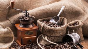 Café Robusta Tostado y Molido de Especialidad USDA, Fabricante de Exportación Directa, 0.1% de Granos Partidos y Negros únicamente, MOQ Flexible - Product Image 3