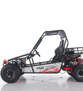 Go Kart Todoterreno Tao Motor de 200cc con Arranque Eléctrico - Product Image 1