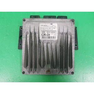 ECUs y Módulos de Computación Usados de Carnival 391014X820 - Product Image 1