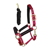 Licol et longe pour cheval de haute qualité en PP, taille et couleur personnalisables, confortables pour l'équitation, en promotion