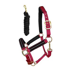 Licol pour cheval avec longe, haute qualité, équestre, en PP, taille personnalisable, confortable pour l'équitation, vente chaude - Product Image 4