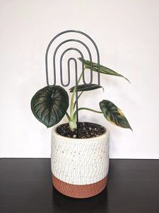 Treillis de piquet de tige de feuille en aluminium/métal moderne pour décorations/supports de plantes de jardin de balcon intérieur/extérieur - Product Image 5