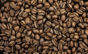 เมล็ดกาแฟอาราบิก้าแท้ คั่วอ่อน ยี่ห้อมิลานา คอฟฟี่ ฟูลซิตี้ + เวียดนาม คั่วอย่างพิถีพิถัน บรรจุภัณฑ์ 250 กรัม รสชาติกลมกล่อม สดใหม่ - Product Image 4