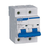 Nuevo Interruptor Automático Miniatura (MCB) Tipo PLC con Garantía de Un Año, CHINT NXB-125 2P 125A Curva B/C/D 380V/220V para Automatización Industrial