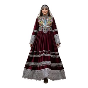 Afghani <b>Dress</b> Women Traditional Kuchi Embroidery Maxi <b>Dress</b> <b>Long</b> Sleeve Hand Embroidery Knee-Length Velvet A-Line Formal Wear - Product Image 1