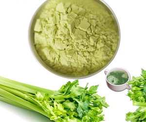 POLVO DE ZUMO DE APRIEYNA DE ORIGEN VEGETAL PUEBROSO Y SIN OGM PARA MEZCLAS DE BEBIDAS SALUDABLES - Product Image 6